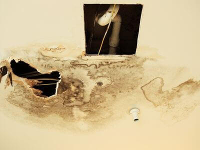 Professional mold remediation services in Phoenix